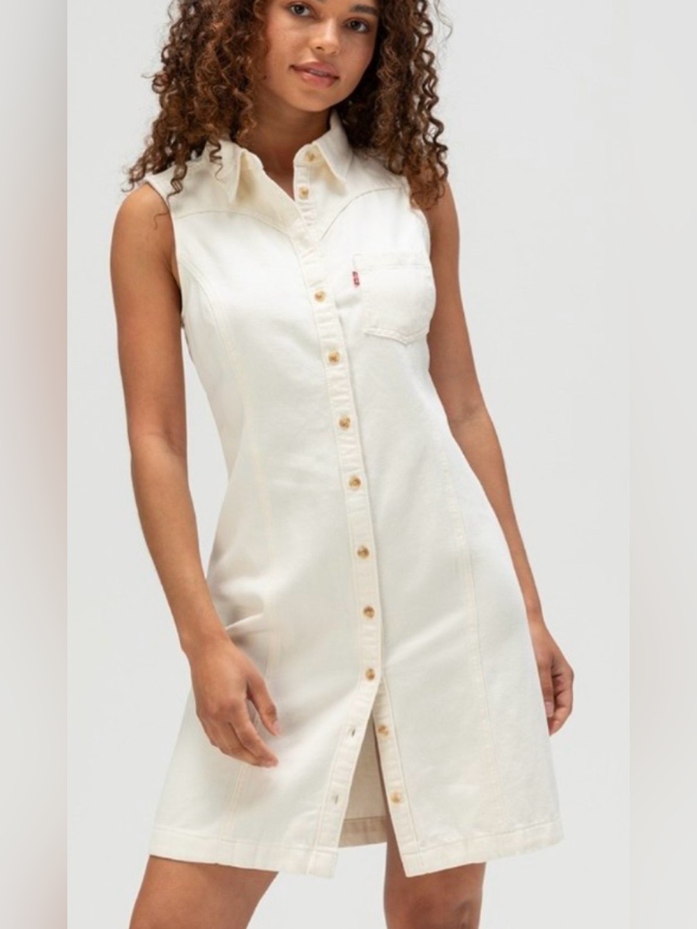 Levi’s Dress
